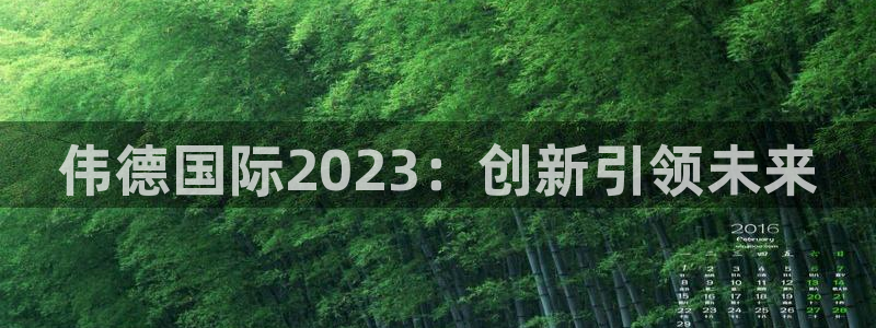 壹号app官网版下载：伟德国际2023：创新引领未来