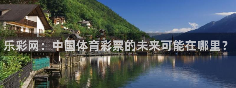 ng大舞台官网入口：乐彩网：中国体育彩票的未来可能在哪里？